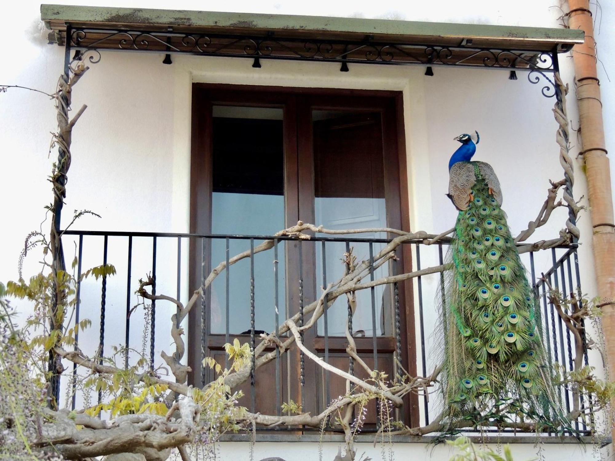 Agriturismo U Zu Peppino Lipari  Extérieur photo